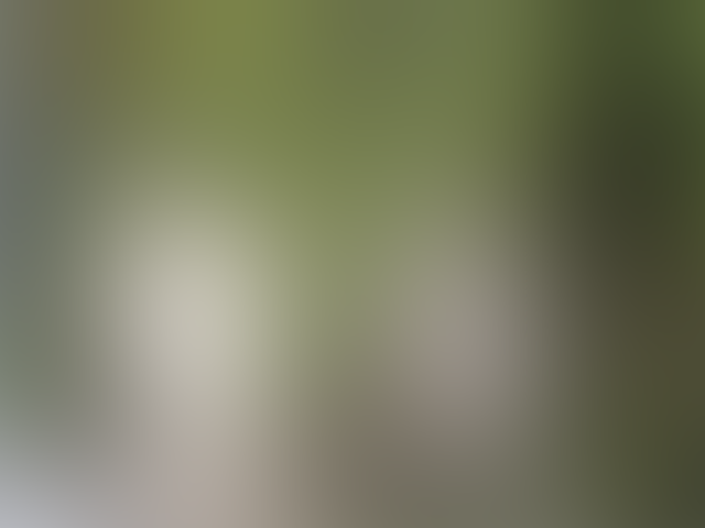 defocus-780809_1280
